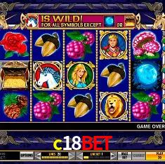 c18bet Rio de Janeiro - Bonus Terms